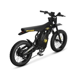 Vélo électrique KENE KN110 PRO